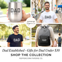 Gifts under $30 for Dad - Modern Dad Established