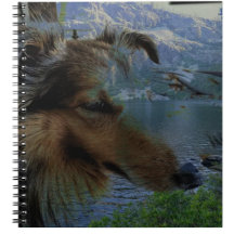 Sheltie Calendars, Notebooks & Journals
