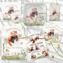 Adorable Baby Red Panda Bear Birthday Party 