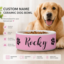 Stylish Ceramic Pet Food Bowls with Quirky Designs
