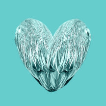 Feather HEART - Heart of herons