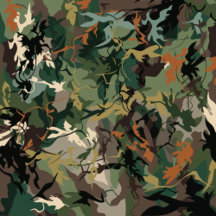 Mimicking Nature: The Science of Camouflage