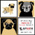 Arizona Pug Adoption & Rescue Network APARN