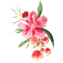 Floral Watercolor Invitations, May Flower