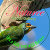 Naturee Photo Gallery