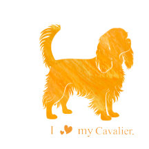 Pastel Cavalier Gifts – Custom Dog Design