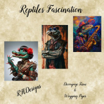 Gator Reptiles Fascination 