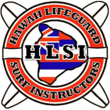 OFFICIAL TEAM HLSI 