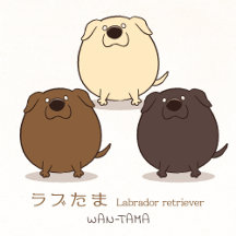 ラブたま <Labrador retriever>