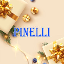 Pinelli_Name T-Shirt
