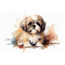 Shih Tzu Treasures
