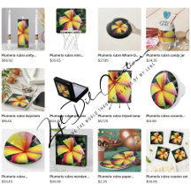 Gifts with plumeria rubra design
