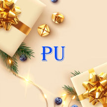 Pu_Name T-Shirt