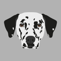 Black-Spotted Dalmatian