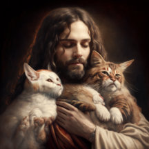 Christmas Cat Favorites