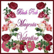 Blush Pink Magenta Romantic Valentine Rose Gifts