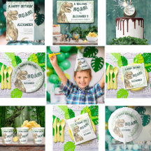 Boys Dinosaur Birthday Party Supplies