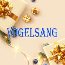 Vogelsang_Name T-Shirt
