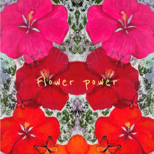 Flower power