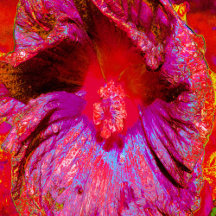 Psychedelic Trippy Retro Red Hibiscus Flower