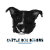 CattleDogDesignsUS