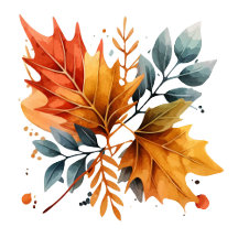 Watercolor Autumn Fall Color Leaves