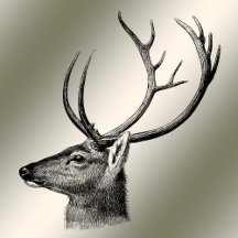 CHRISTMAS - GOLDEN FLORAL REINDEER