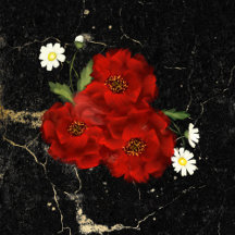 RED ROSES & WHITE DAISIES