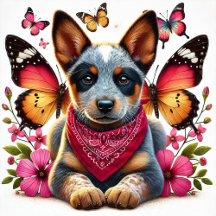Australian Cattle Dog Inspired Gifts & Decor