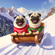Pug Sled Ride