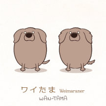 ワイたま <Weimaraner>