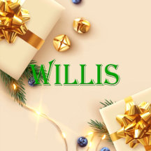 Willis Name T-Shirt