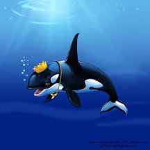 PRINCE PATCHES D'ORCA - ORCA WHALE