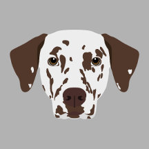 Brown-Spotted Dalmatian