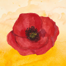 Peach Theme Baby Shower