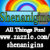 Shenanigins