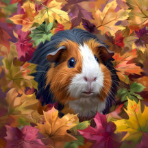 Guinea Pig Among Colorful Autumn Leaves