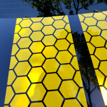 License Plate Holders