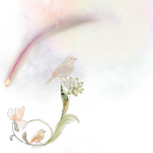 Celestial dreamy star 