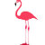 Flamingo Fanatics
