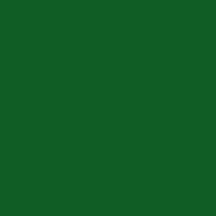 Traditional Christmas Colors - Classic Green