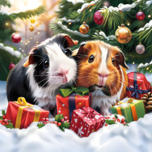 Two Guinea Pigs With Christmas Gifts