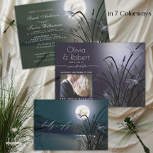 WEDDING   Dragonfly Dreams