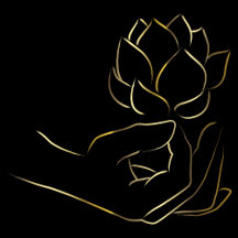 Health and Wellness Themes