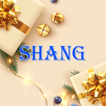 Shang_Name T-Shirt