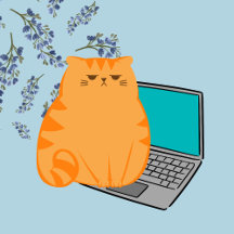 Cats   Electronics Accessories