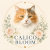 Calico Bloom