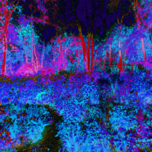 Impressionistic Dark Blue and Red Garden Landscape