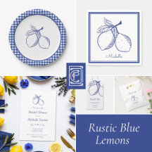 Classic Rustic Blue Lemon Gingham Party Set
