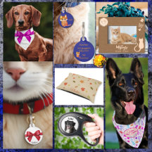 Pets - Animaux domestiques